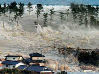 Цунамі, що обрушилося на узбережжя Японії у 2011 році
